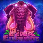 icon-冠军体育体育